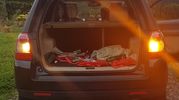 Filename : 20191106_193127.jpg
Filesize : 167KB
Dimensions : 928x516
Date added : Nov 06, 2019 20191106_193127.jpg