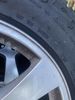 Filename : tyres 3.jpg
Filesize : 100KB
Dimensions : 720x960
Date added : Oct 21, 2023 tyres 3.jpg
