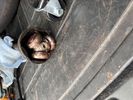 IMG_1578.jpeg