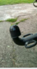 Filename : Screenshot (132).png
Filesize : 149KB
Dimensions : 224x421
Date added : Jul 17, 2020 Screenshot (132).png