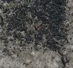 Filename : PAS 2a.jpg
Filesize : 177KB
Dimensions : 665x619
Date added : Mar 23, 2024 PAS 2a.jpg