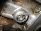 dead drain bolt.JPG