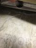 IMG_6842.jpeg