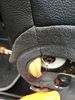 IMG_6995.jpeg