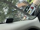IMG_7299.jpeg